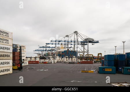 AUCKLAND, NZL -JAN 13 2016:Big cargo ship unloading containers in Ports of Auckland New Zealand. New Zealand's busiest port and Stock Photo