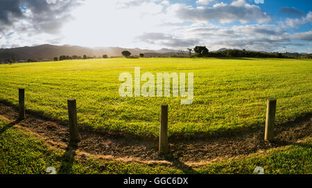 New Zealand green field sunrise Stock Photo