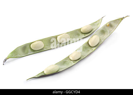 Purple bean vegetable isolated on white background Stock Photo