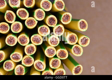 Group of yellow and green earth cable closeup Stock Photo