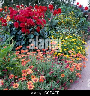 Bulb Garden - Summer - planted with Cannas and Dahlias (Please credit: Photos Hort/RHS Hyde Hall)   BUG090433  Compuls Stock Photo