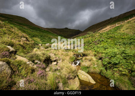 Dramatic light on Crowden Clough looking up to Crowden tower on Kinder Scout, Derbyshire. Stock Photo