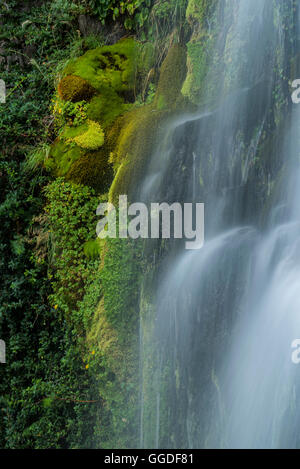 South America; Argentina, Patagonia, Rio Negro, Esquel, Waterfall, National Park Los Alerces