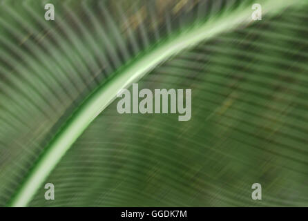 illustration of abstract green floral Background Stock Photo - Alamy