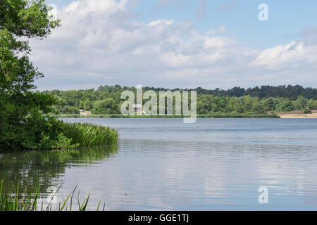 The calm waters of Frensham great pond in Surrey Stock Photo