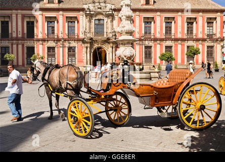 Many typical old horse driven carriages wait for the tourists business by the Cathedral of Seville, Spain Stock Photo