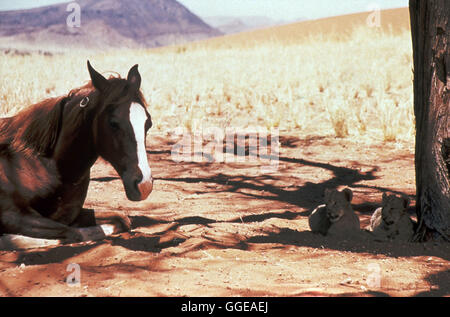 LUCKY'S GROßE ABENTEUER / Running Free USA 1999 / Sergei Bodrov Lucky. Regie: Sergei Bodrov aka. Running Free Stock Photo