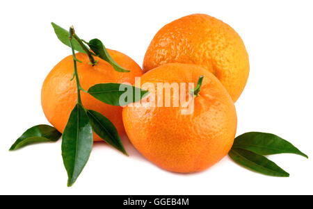mandarins tangerines fresh organic fruits with leaves on white Stock Photo