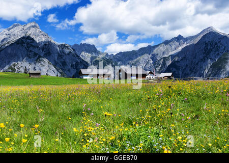 Summer Alps with beautiful yellow flowers near Walderalm. Austria, Tirol. Stock Photo