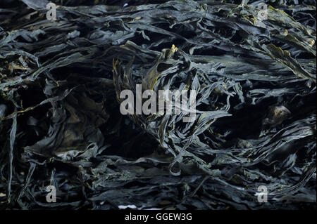 dried wakame Stock Photo