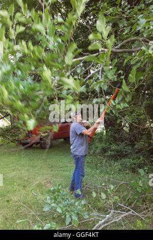 Man sawing tree branches in a yard Stock Photo