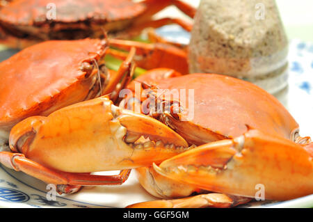 Crab from the Mekong delta on the dish Stock Photo