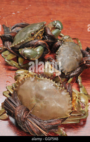 Crab from the Mekong delta on a confrontation Stock Photo