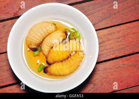 Red Palm Weevil Larva or Coconut worm or Duong dua or sago worm (Rhynchophorus ferrugineus) from Vietnam Stock Photo