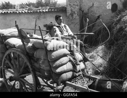 EINE FRAU FÜR SCHWACHE STUNDEN / La Bella Mugnaia Italien 1955 / Mario Camerini SOPHIA LOREN, MARCELLO MASTROIANNI, 'La Bella Mugnaia', 1955.  Regie: Mario Camerini aka. La Bella Mugnaia Stock Photo