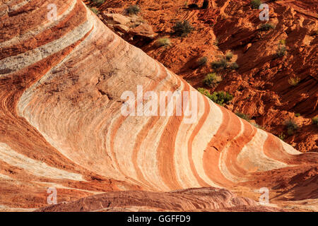 This view looks down from the top of the spectacular Fire Wave formation at Valley of Fire State Park, Nevada, USA. Stock Photo