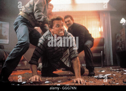 Arnold Schwarzenegger actor 1989 Stock Photo - Alamy