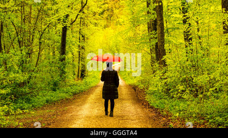 geography / travel, Germany, Baden-Wuerttemberg, woman, 50+, forest track in the spring, beeches (Fagus sylvatica), Swabian Mountains, Model-Released, Freedom-Of-Panorama Stock Photo