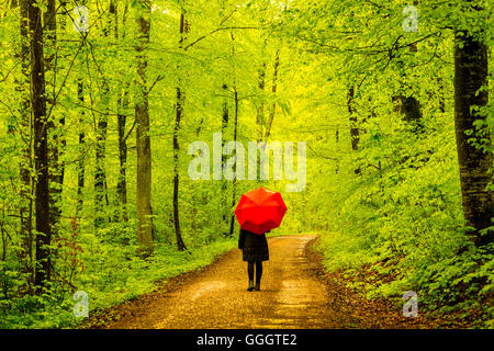 geography / travel, Germany, Baden-Wuerttemberg, woman, 50+, forest track in the spring, beeches (Fagus sylvatica), Swabian Mountains, Model-Released, Freedom-Of-Panorama Stock Photo