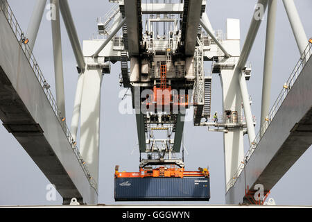 harbor crane lifting a sea container into a cargo ship Stock Photo - Alamy