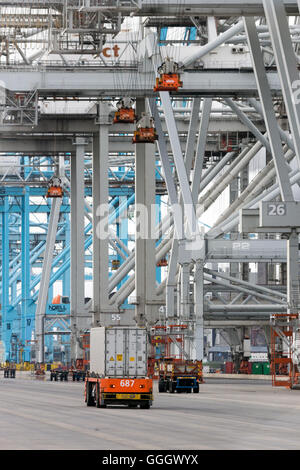 Automated Guided Vehicles in the ECT container terminal in the Port of Rotterdam Stock Photo