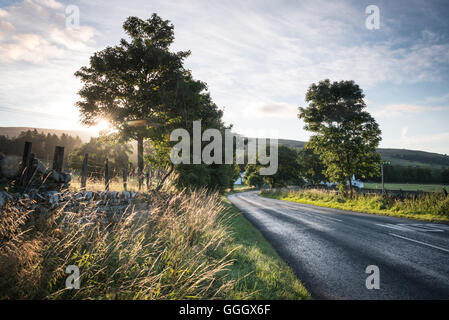 Teesdale, near Forest-in-Teesdale, County Durham, UK Stock Photo