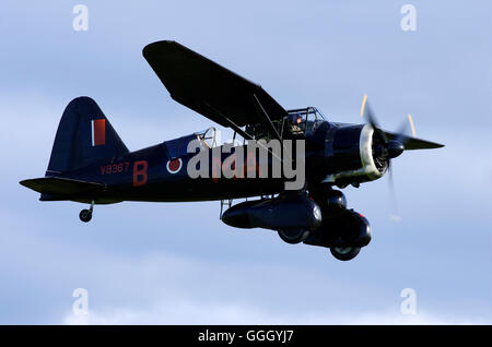 Shuttleworth Collection Westland Lysander  V9552, at Old Warden Stock Photo