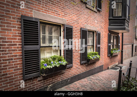 Three Windows Stock Photo
