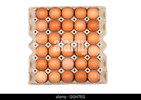 egg in paper panel isolated on white background Stock Photo