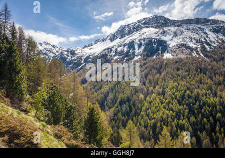 geography / travel, Italy, South Tyrol, Knuttental in the spring, Rein in Taufers, Tauferer Ahrntal (Ahrn Valley) , Additional-Rights-Clearance-Info-Not-Available Stock Photo