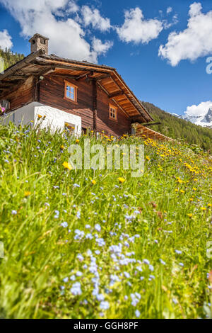 geography / travel, Italy, South Tyrol, Alpine hut and mountain meadow on the Klausberg near stone house, Ahrntal (Ahrn Valley) , Additional-Rights-Clearance-Info-Not-Available Stock Photo