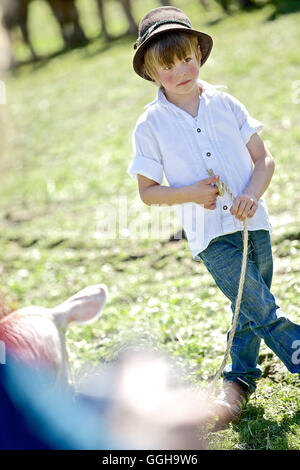 Jeans, Allgaeu, Bavaria, Germany Stock Photo - Alamy