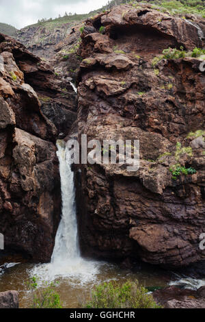 Charco Azul, waterfall to the pond, gorge at the end of El Risco valley, near El Risco, near Agaete, Natural Preserve, Parque Na Stock Photo