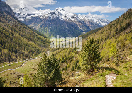 geography / travel, Italy, South Tyrol, hiking trail in the Knuttental in the spring, Rein in Taufers, Tauferer Ahrntal (Ahrn Valley) , Additional-Rights-Clearance-Info-Not-Available Stock Photo