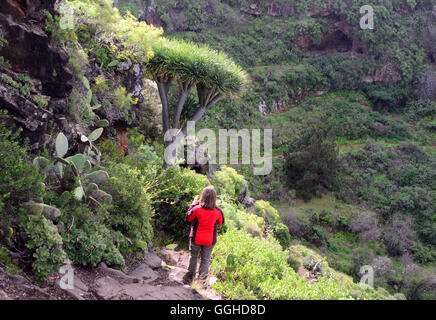Woman hiking near Puntagorda, La Palma, Canary Islands, Spain Stock Photo