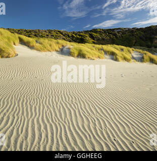 Wharariki Beach, Tasman, South Island, New Zealand Stock Photo