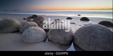 Moeraki Boulders in the morning light, Otago, South Island, New Zealand Stock Photo