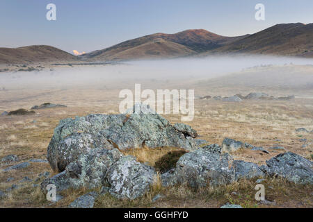 Sunrise over a meadow, Rocks, Otago, South Island, New Zealand Stock Photo