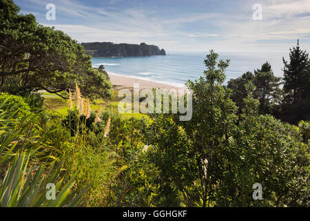 Hot Water Beach, Coromadel Peninsula, Waikato, North Island, New Zealand Stock Photo