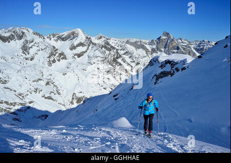 Female back-country skier ascending to Aeusseres Hocheck, Pflersch valley, Stubai Alps, South Tyrol, Italy Stock Photo
