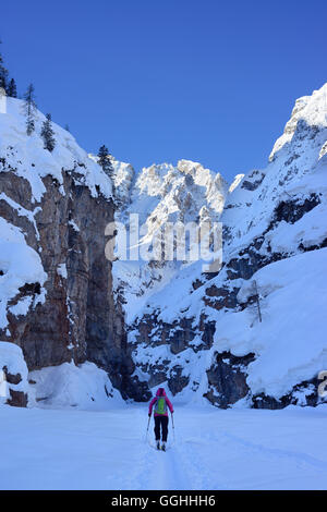 Female back-country skier ascending through a canyon to Cristallo wind gap, Cristallo, Dolomites, Belluno, Veneto, Italy Stock Photo