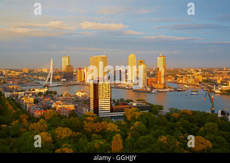 View of Rotterdam Harbour, Hotel New York, Skyline, Erasmus bridge, Province of Southern Netherlands, South Holland, Netherlands Stock Photo