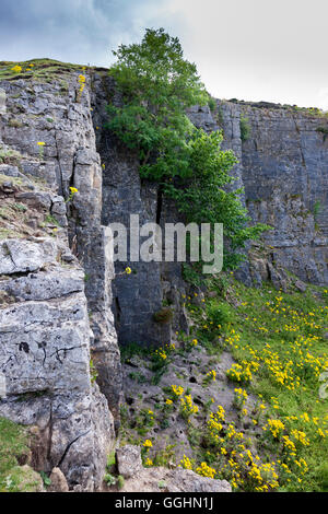 Tarmac (Northern) Ltd, Quarry on Hargill Lane, Redmire, North Yorkshre Stock Photo