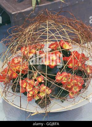 Flower Arrangement   FAR093324 Stock Photo