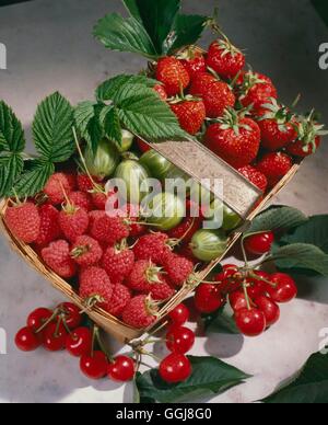 Fruit Collection - with Raspberries  Strawberries  Gooseberries and Cherries   FCO075094     Photos Stock Photo