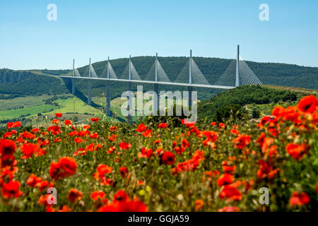 Millau Viaduct above Tarn River, Natural Regional Park of Grands Causses,the viaduct of Millau, Aveyron department, Occitanie, France Stock Photo