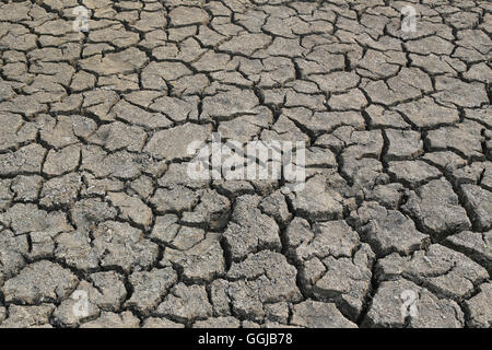 Cracked earth and dry soil texture for the design nature background. Stock Photo