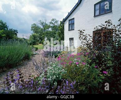 Mediterranean Style Garden   MED083954 Stock Photo