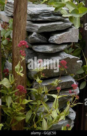 Wall- - Dry-stone wall with Centranthus in foreground   MIW250036  /Photoshot Stock Photo