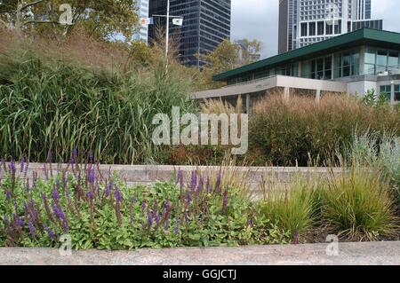 New York - Memorial Garden for 9/11  designed by Piet Oudolff   MIW250488  /P Stock Photo